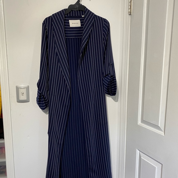 Aritzia Babaton Striped Trench